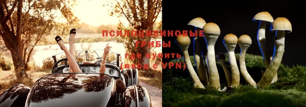 соль курить ск Горно-Алтайск