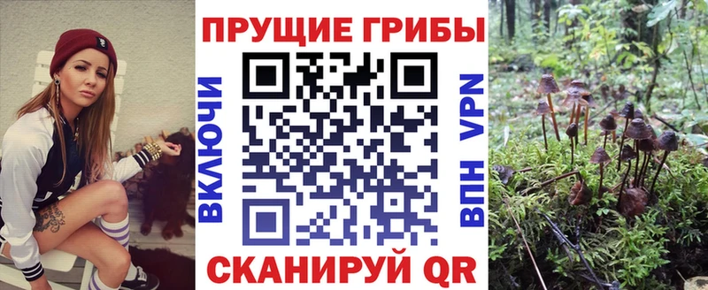 Галлюциногенные грибы мухоморы  Дубовка 